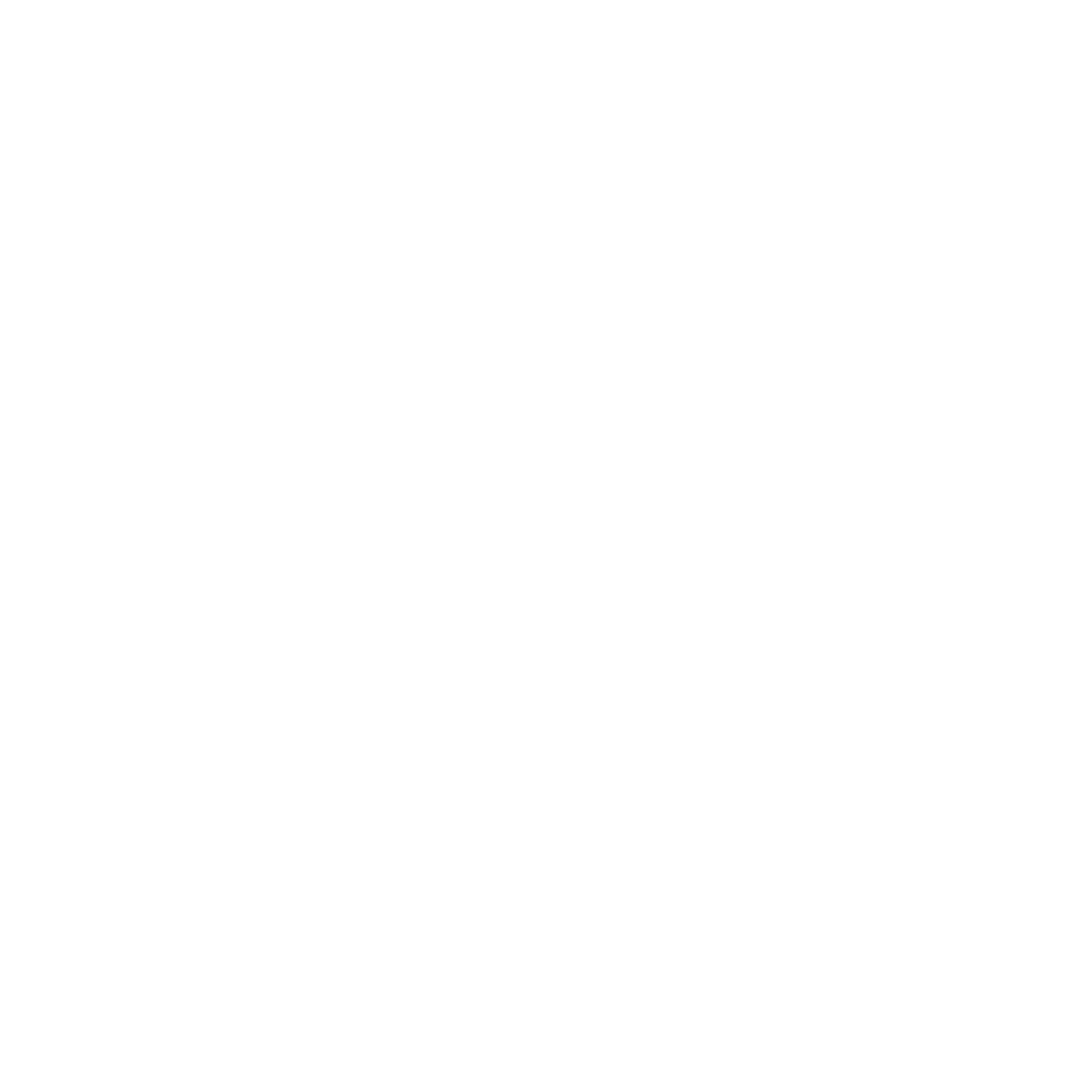 Icon2